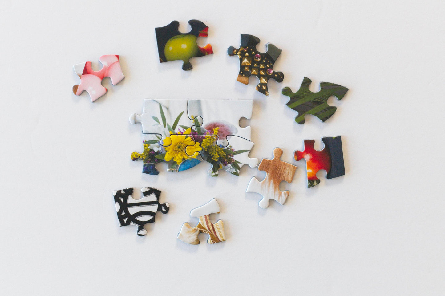 Ellen Shershow Photography: 10% goes to Rocket Dog Rescue