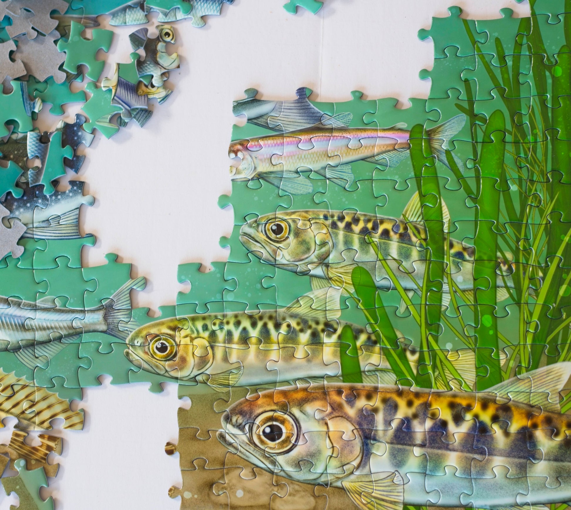A section of a partially completed jigsaw puzzle with illustrated fish and kelp. There are scattered puzzle pieces nearby.