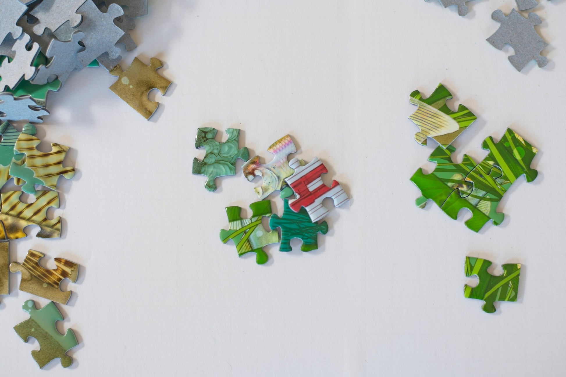 Scattered puzzle pieces showing various illustrated pieces of the puzzle