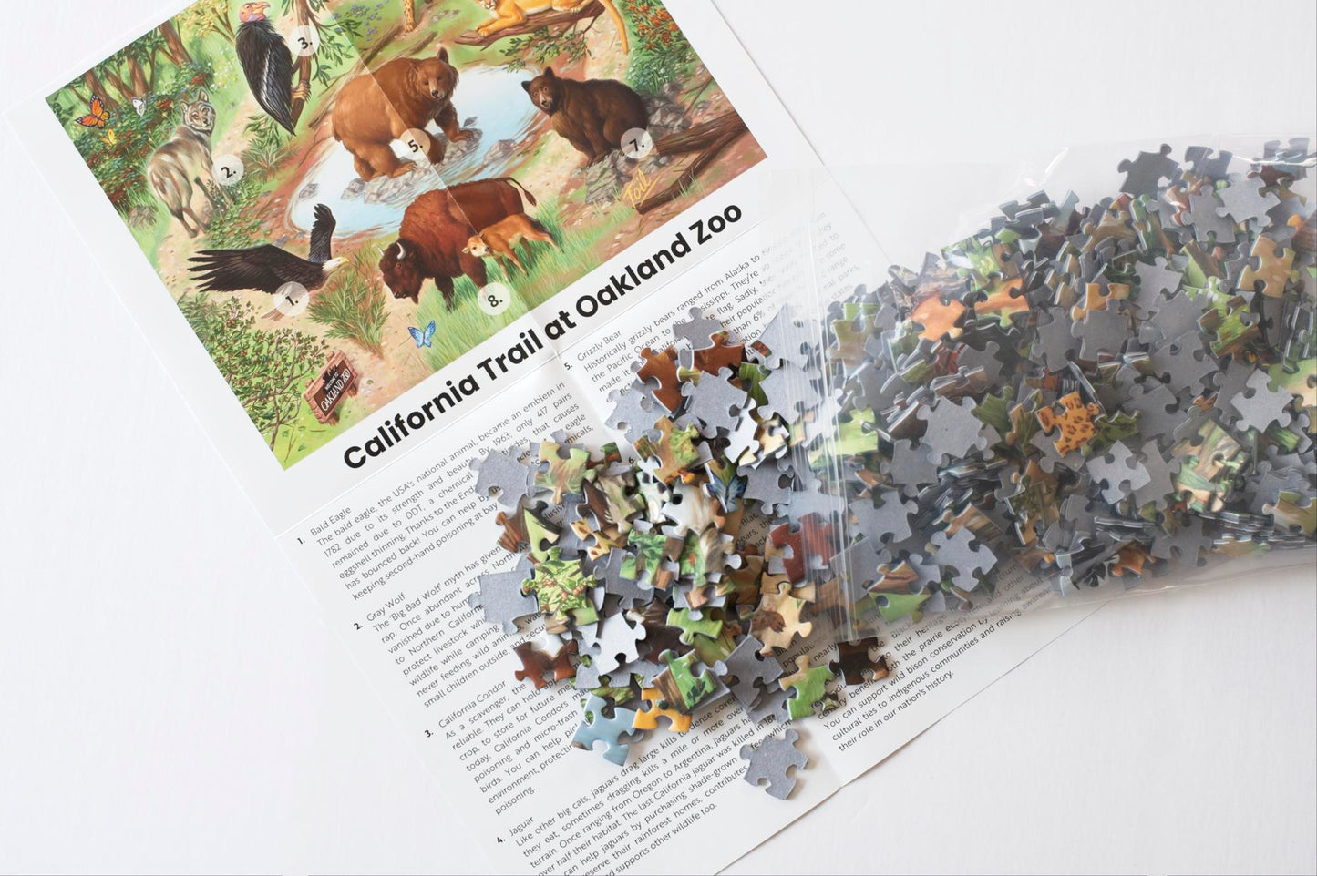 colorful jigsaw puzzle pieces spilling out of a resealable plastic bag onto a puzzle guide that describes the animals featured in the puzzle.