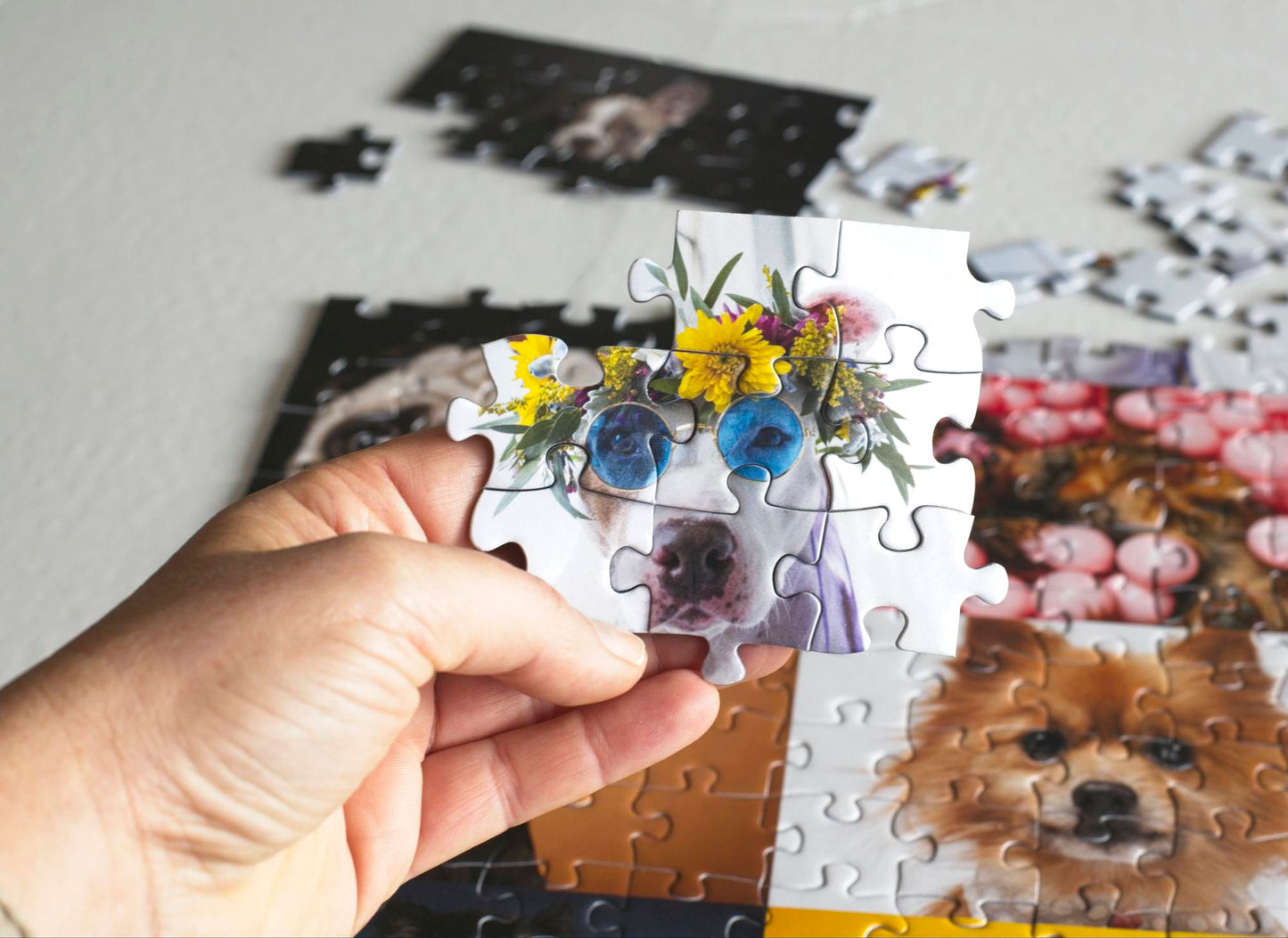 A hand holding 8 interlocked jigsaw puzzle pieces showing a photo of a hite dog wearing round blue shaded sunglasses and a flower tiara with a partially complete jigsaw puzzle in the background