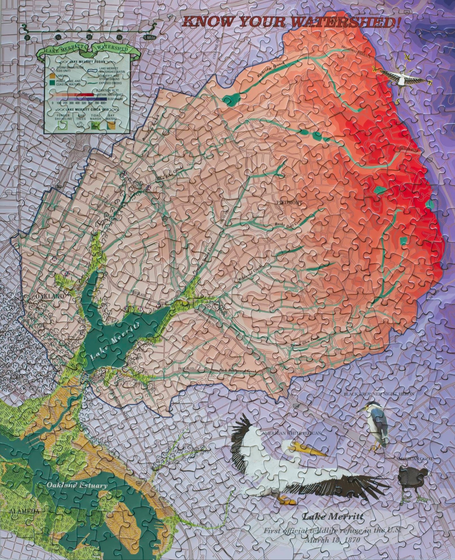 A photo of a completed puzzle which pictures a brightly colored topographic map of the watershed of Lake Merritt. The map features a key, a compass shaped like a bird and pictures several birds.
