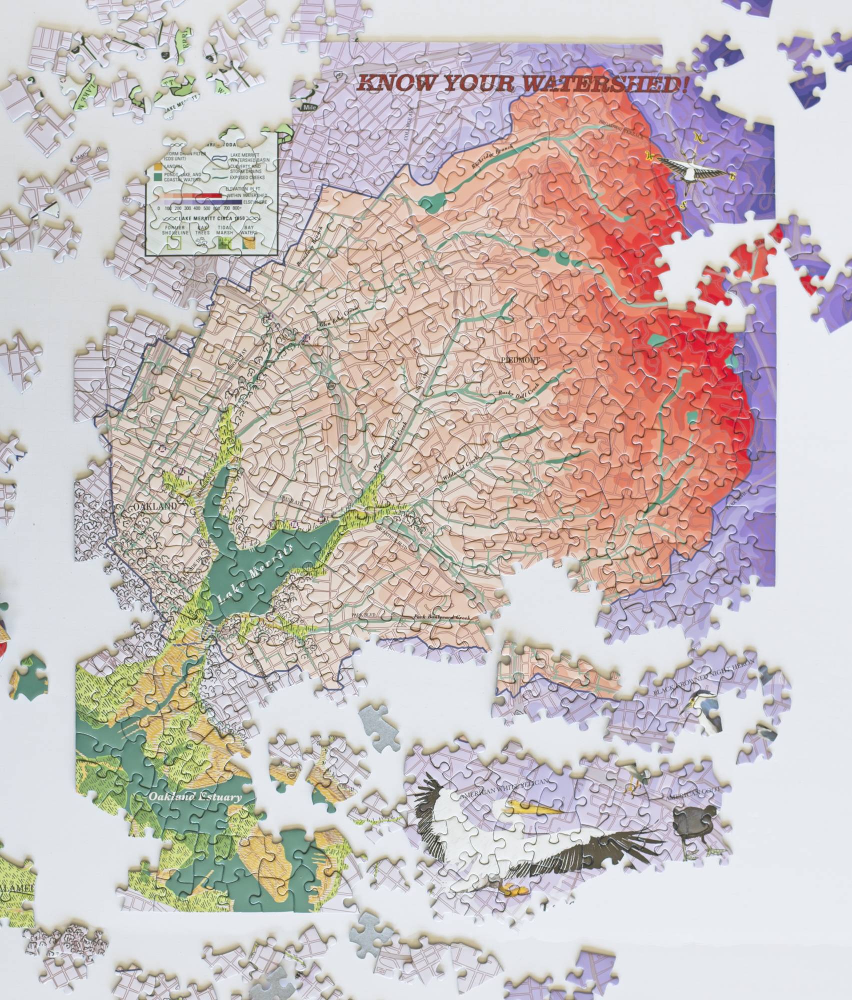 A photo of a partially completed puzzle which pictures a brightly colored topographic map of the watershed of Lake Merritt.