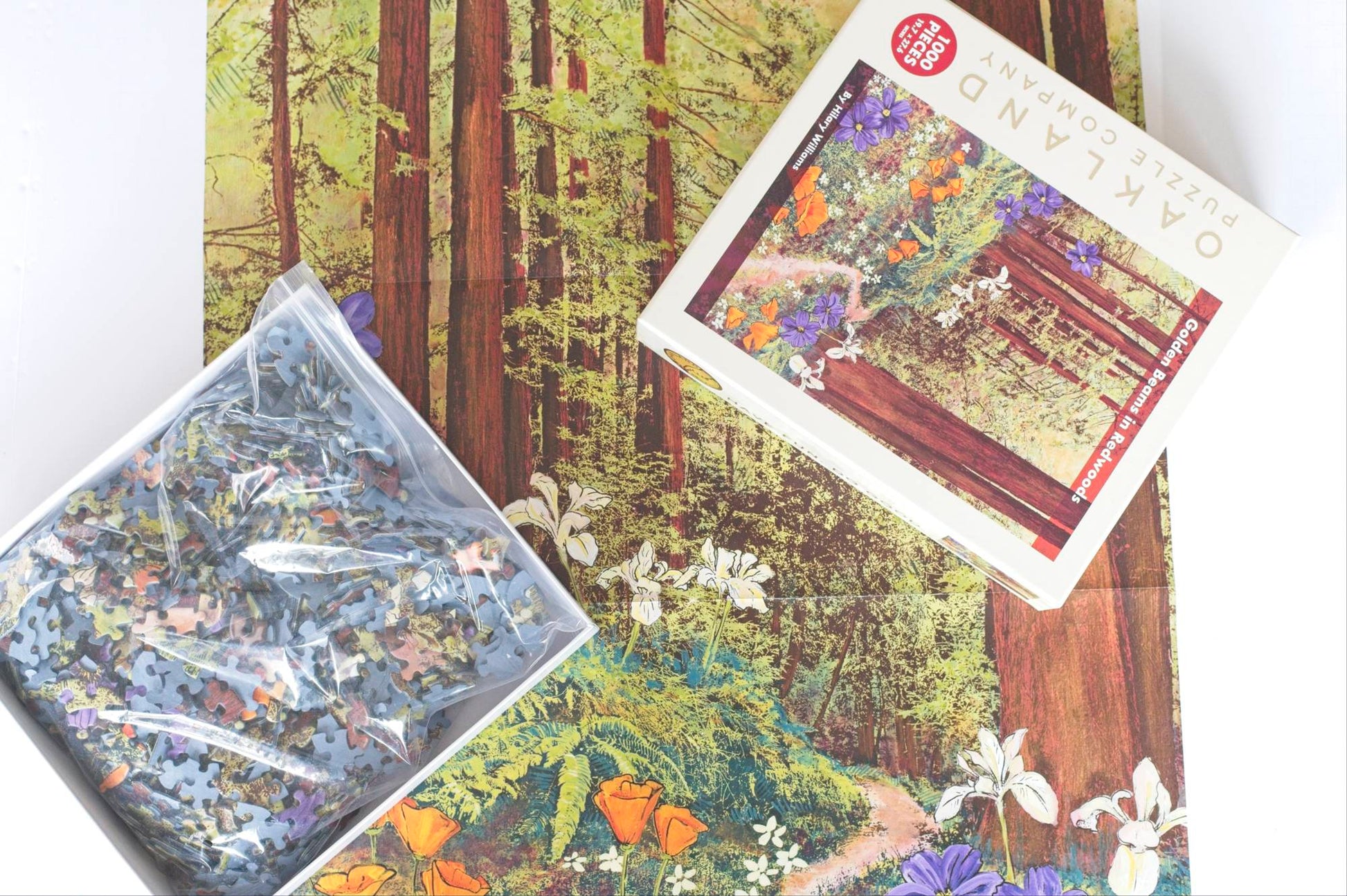 A photo of a large poster featuring a springtime redwood forest image with an open product box sitting on top. On one side is the top of the lid on the other is the box bottom holding a resealable plastic bag filled with puzzle pieces.
