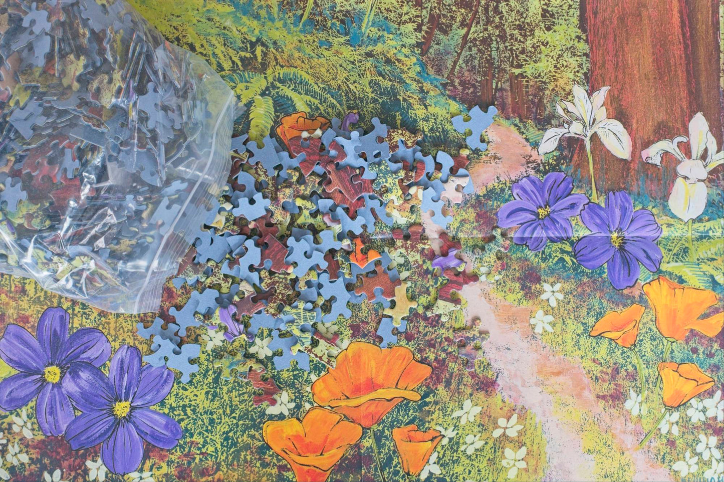 A photo of random cut puzzle pieces made with blue board spilling out onto a portion of a poster showing a flowered forest path