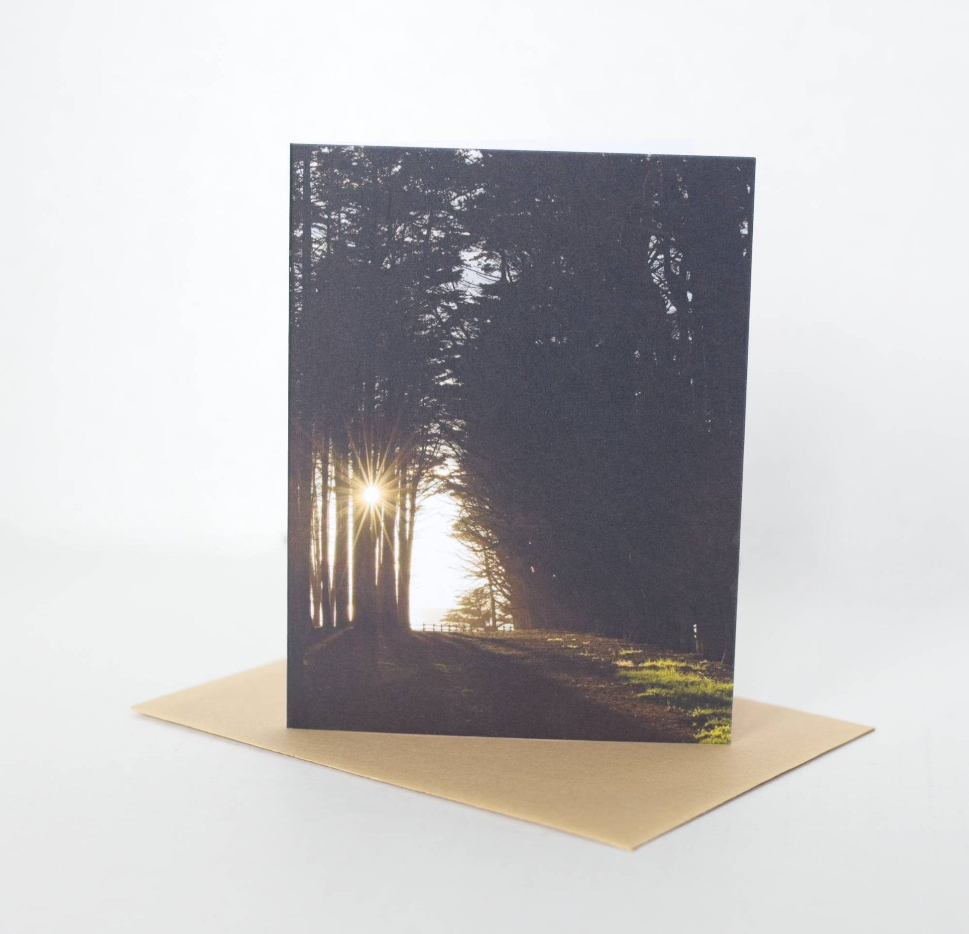 A photo of a greeting card that features a pathway going through a eucalyptus grove at Seal Cove. The sun shining between trees on one side of the pathway create a sunstar and deep shadows. The card sits atop a kraft brown envelope.