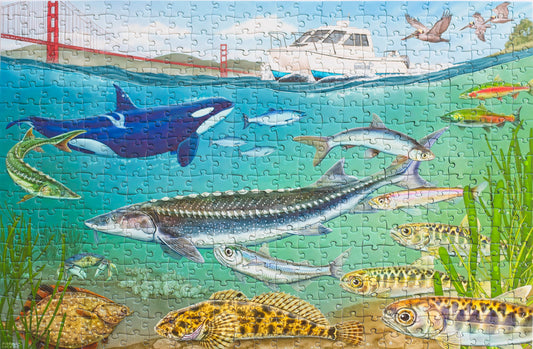 An illustrated water scene with wildlife with a boat above marked San Francisco Baykeeper and the Golden Gate Bridge in the background