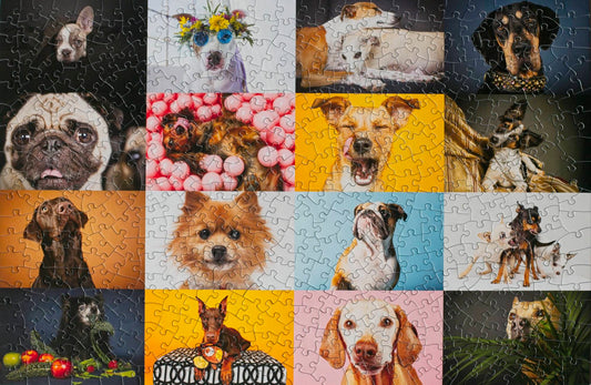 A completed jigsaw puzzle that is a 4x4 grid of dog photos done in a high fashion style. Portraits are in front of colorful backgrounds and feature playful props.