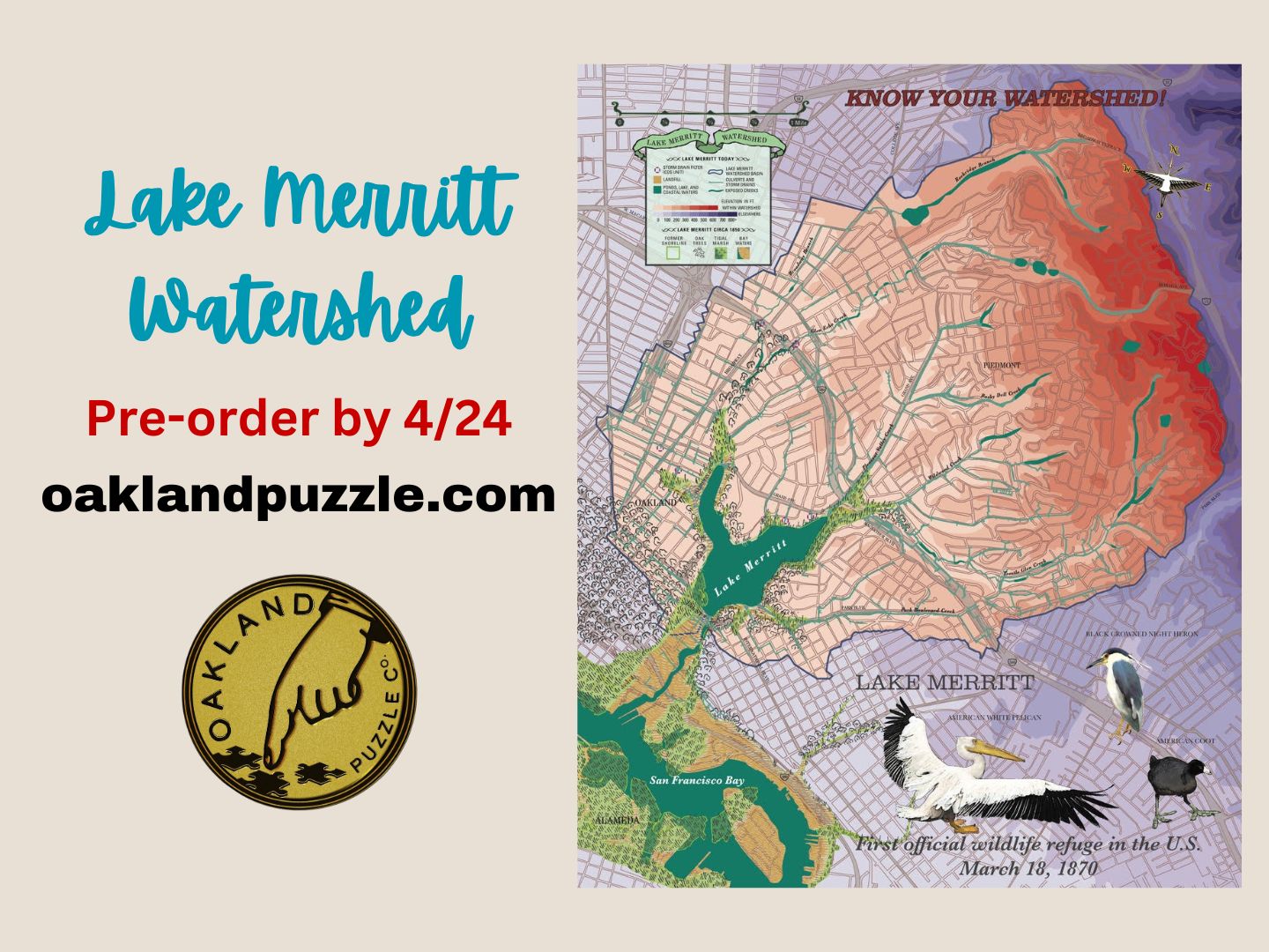 Load video: The thumbnail shows Lake Merritt Watershed Pre-order by April 24th at oaklandpuzle.com with the Oakland Puzzle Company logo which appears to be a coin with a finger pointing at jigsaw puzzle pieces. The right side of the image shows a completed jigsaw puzzle with the image of topographic map of the Oakland Watershed.