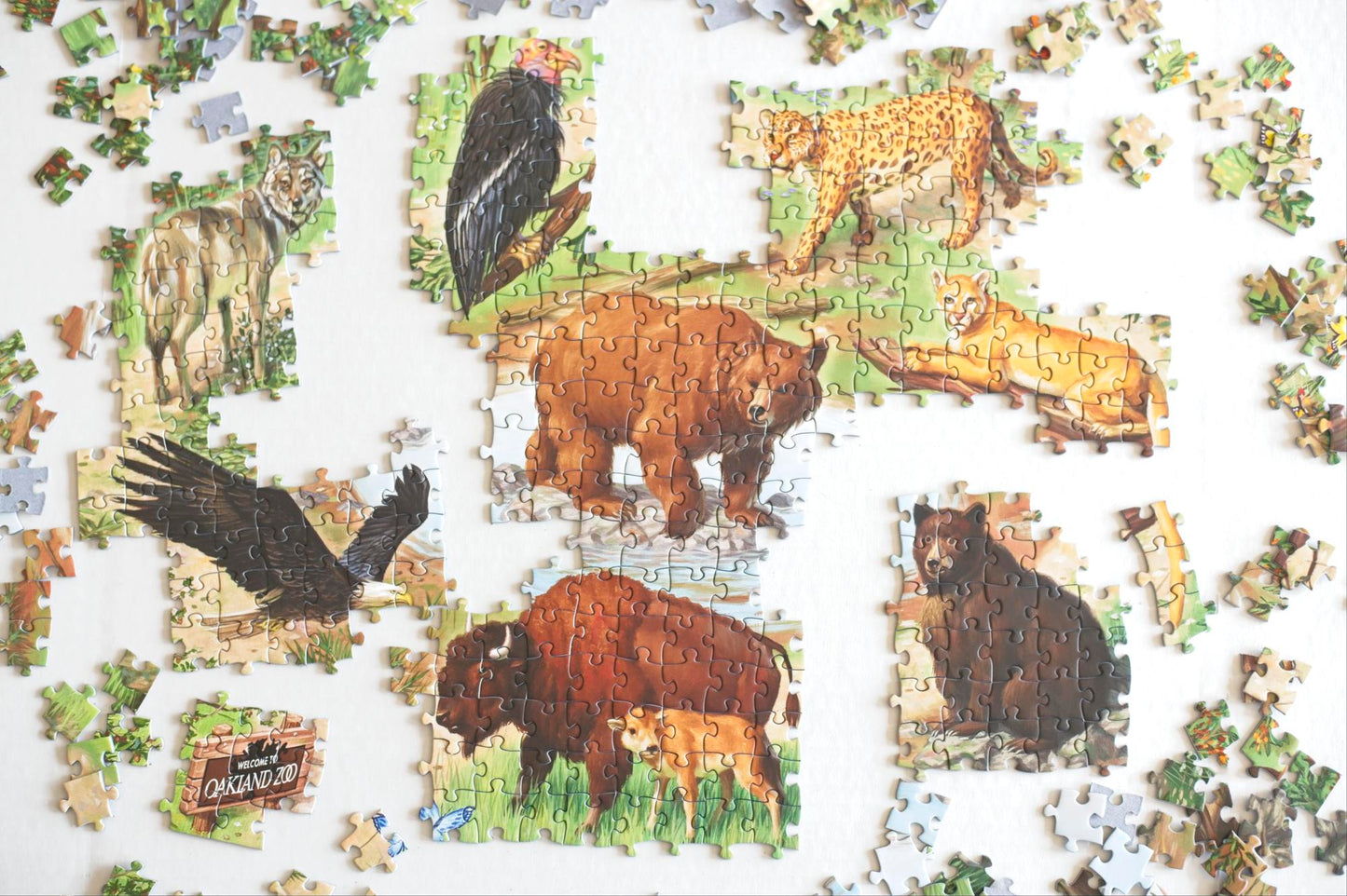 A partially completed puzzle showing 
a painting of animals from the Oakland Zoo with other pieces scattered. 