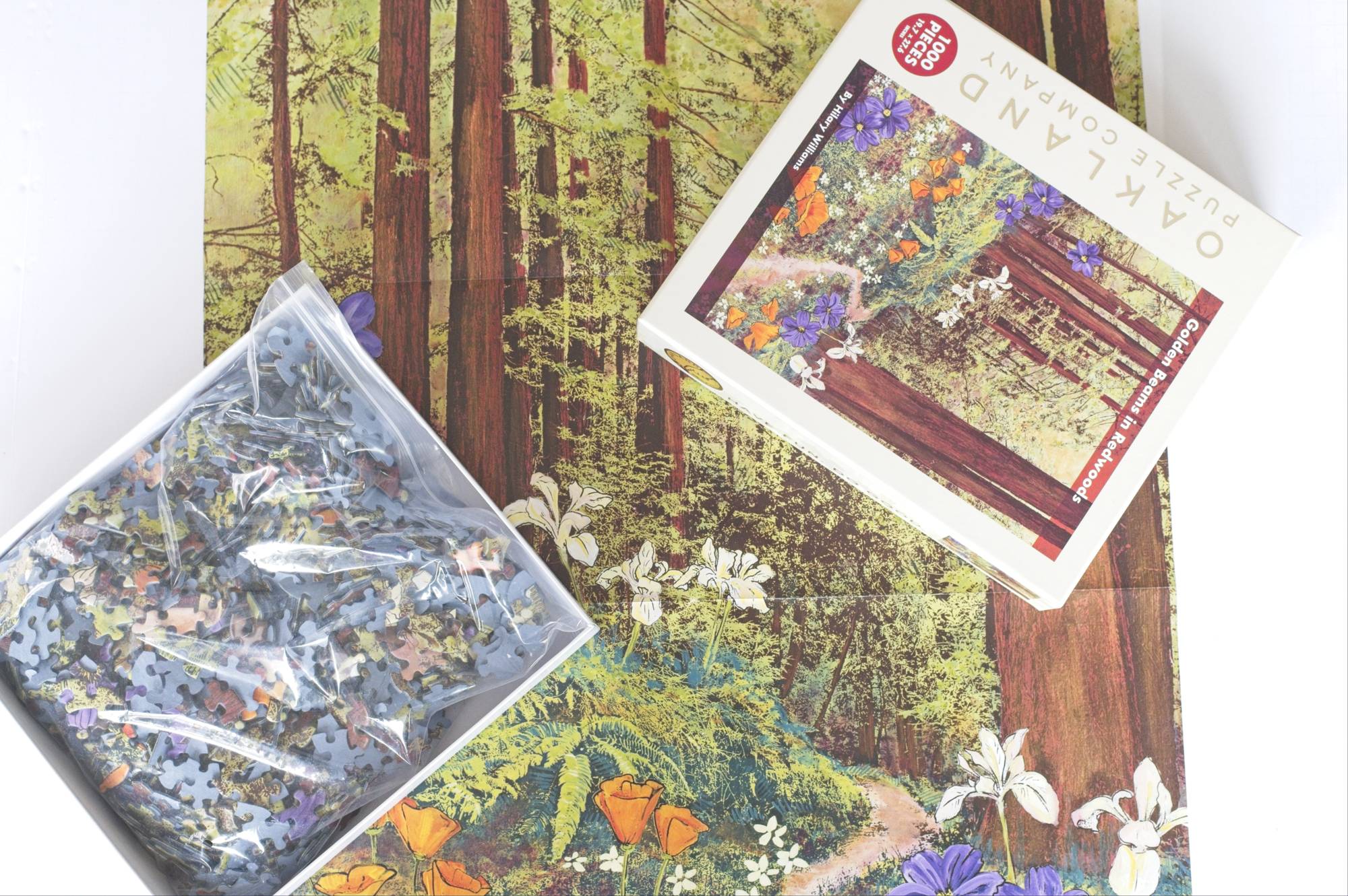 Golden Beams Puzzle – Redwoods Art by Hilary Williams – Oakland