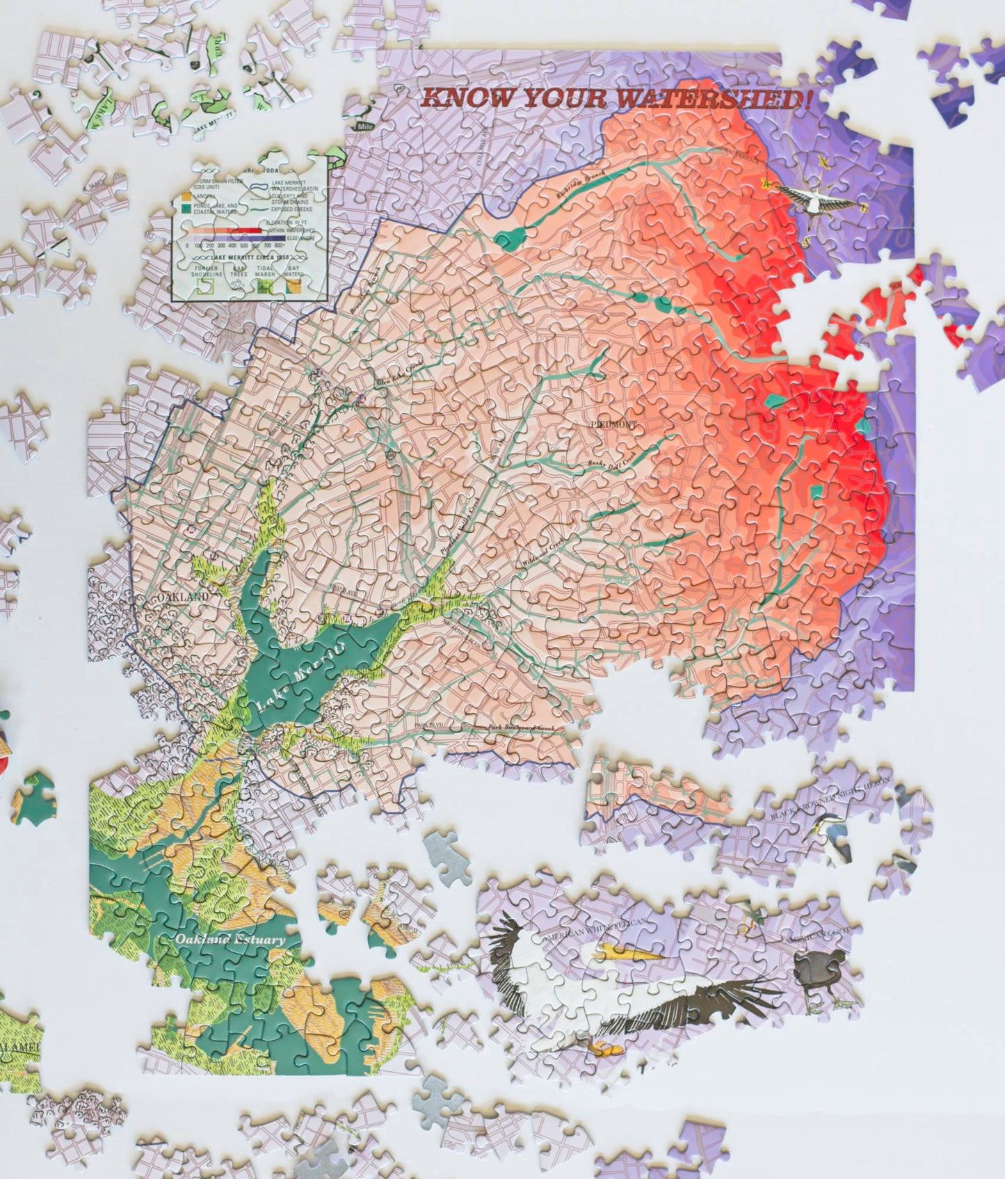 A photo of a partially completed puzzle which pictures a brightly colored topographic map of the watershed of Lake Merritt. 