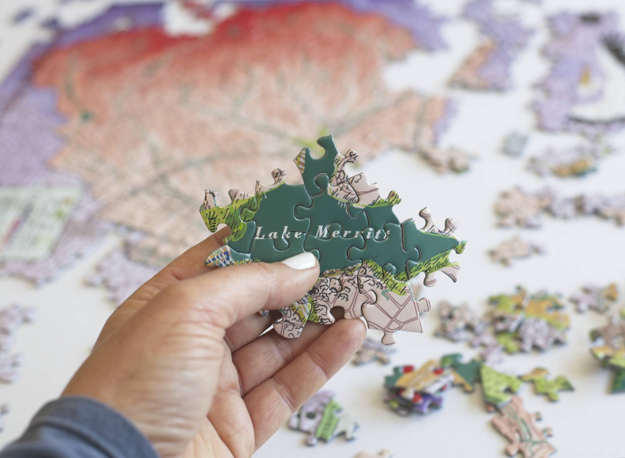 Lake Merritt Watershed Puzzle – 500-Piece Oakland Eco Map