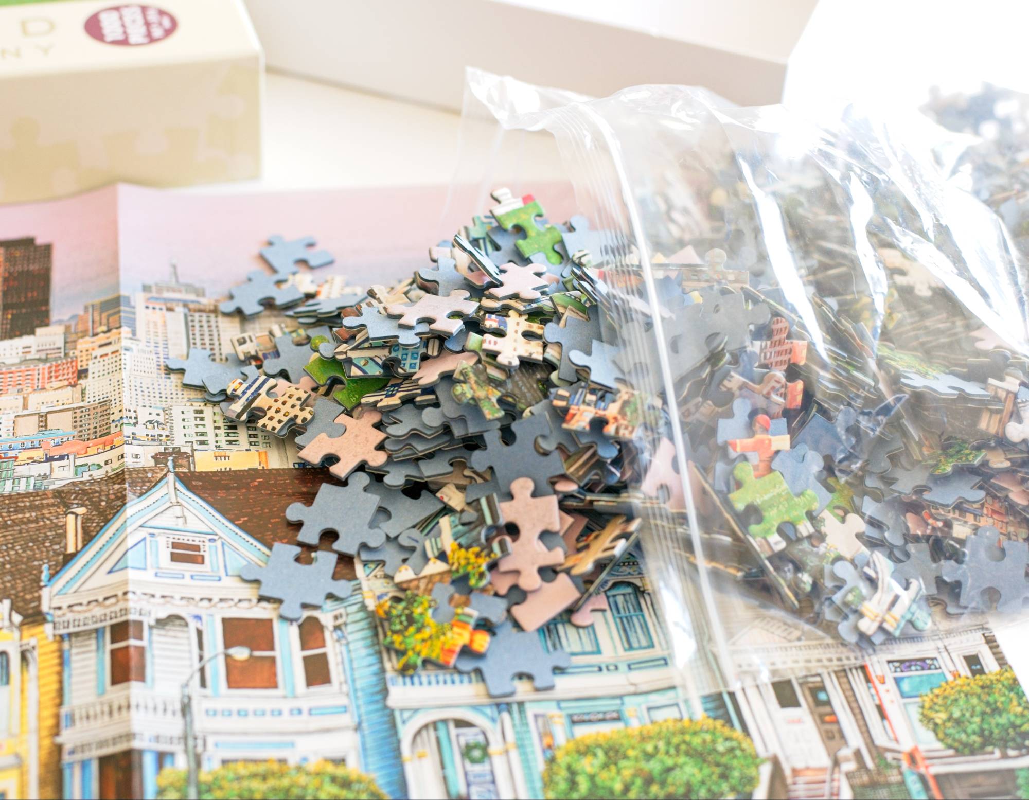 The Painted Ladies of San Francisco 1000 Piece Jigsaw Puzzle Art