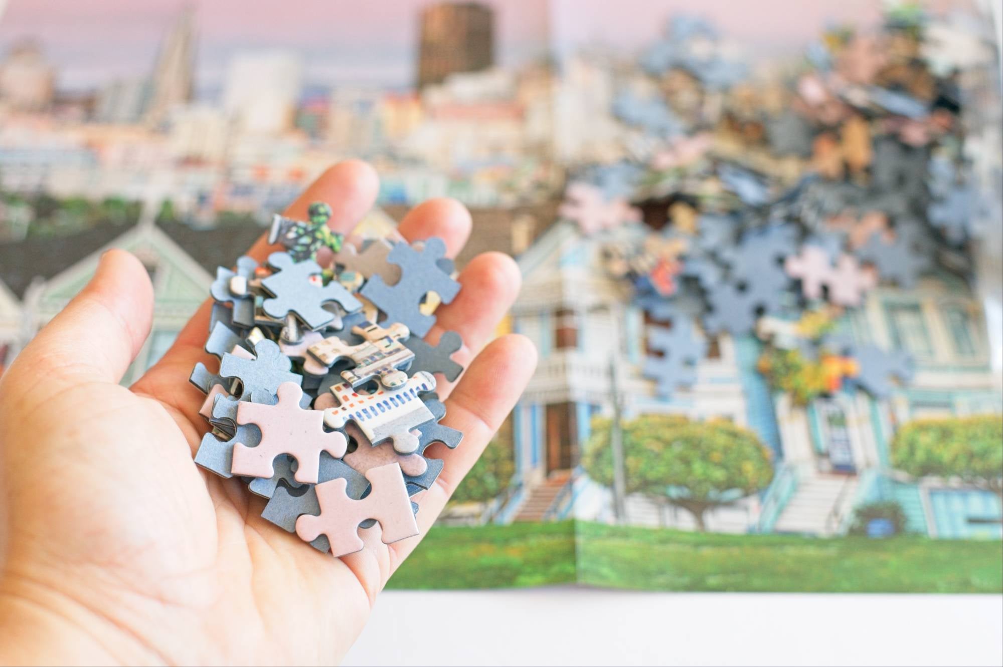 The Painted Ladies of San Francisco 1000 Piece Jigsaw Puzzle Art