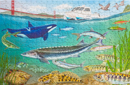 An illustrated water scene with wildlife with a boat above marked San Francisco Baykeeper and the Golden Gate Bridge in the background